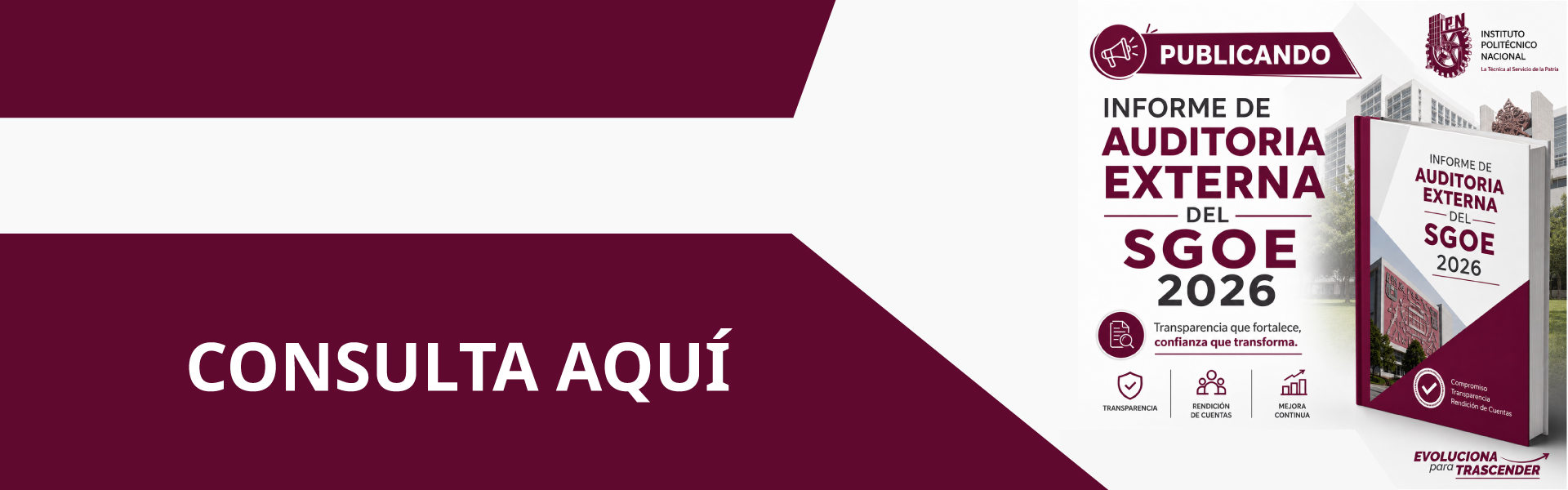 Auditoria Externa SGOE 2026