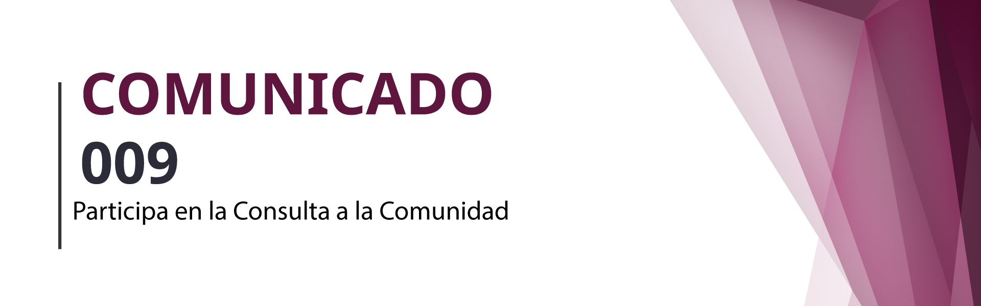Comunicado 009