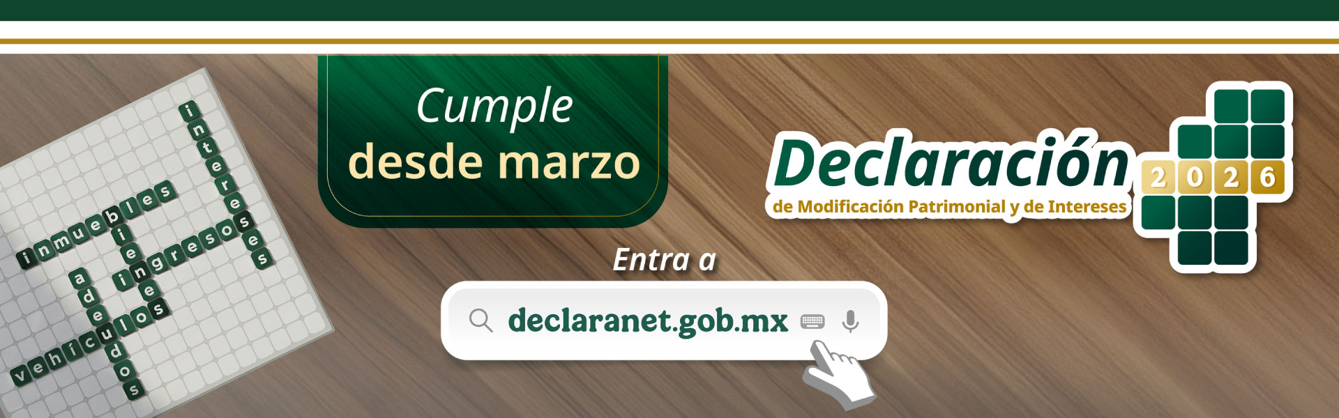 Declaración Patrimonial 2026
