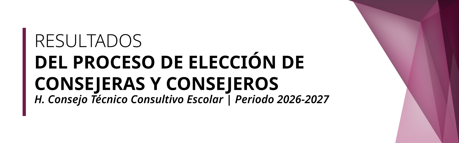 Resultado del Proceso de Elección de Consejeras y Consejeros CTCE ESE