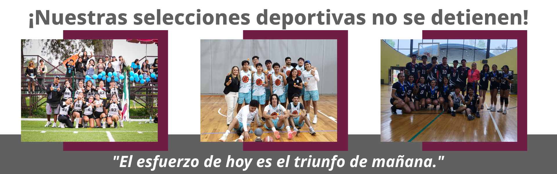Equipos deportivos